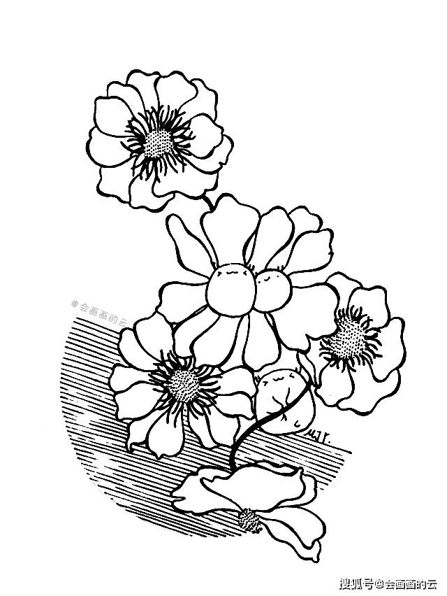 手把手教你画简笔画5朵小花组成一幅画收藏学习