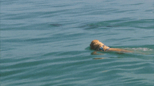 跨种族的友情,狗狗和海豚一见钟情,每天都要和海豚一