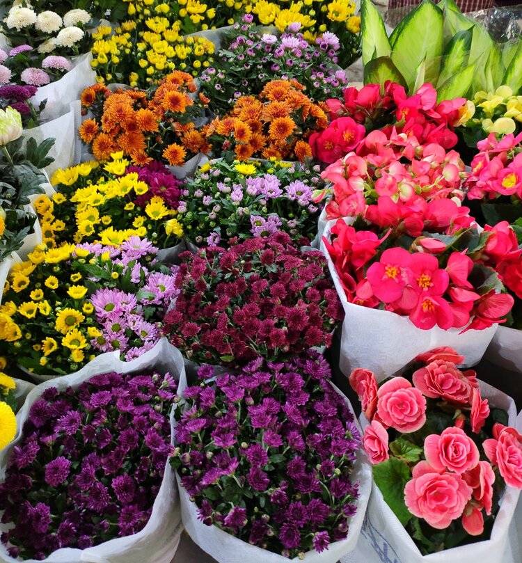 昆明藏匿了一座鲜花宝库:亚洲首屈一指的鲜花市场,值得寻香!