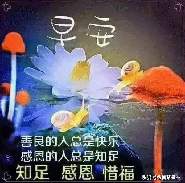 原创漂亮大方的暖心早上好图片精美推荐快乐早安表情问候动态图片