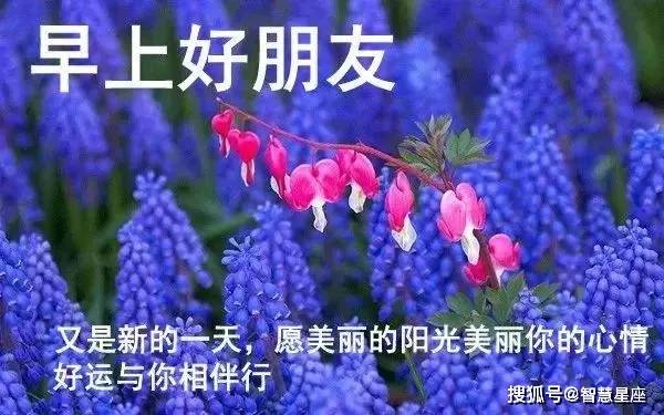 原创5月31日微信朋友圈早晨问候语带图片 最新早上好问候语动态图片