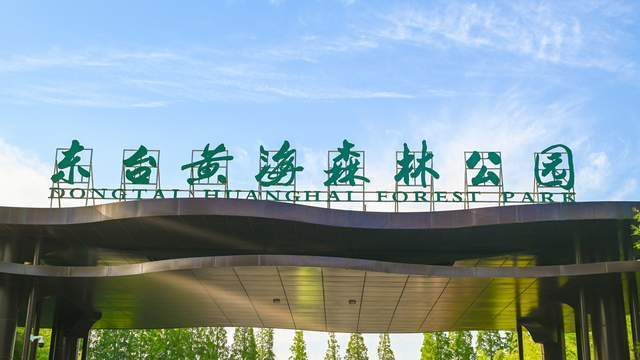 盐城黄海国家森林公园,植被覆盖率超过80%,堪称"人工绿肺"