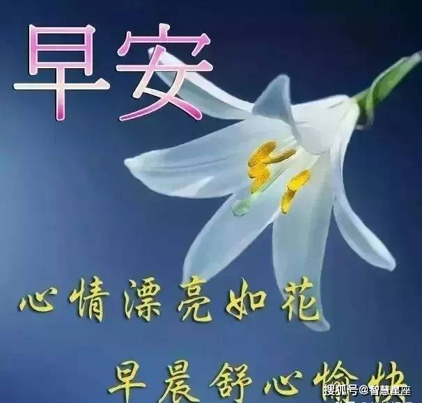 祝福亲爱的朋友早上好 祝您吉祥如意,幸福安康