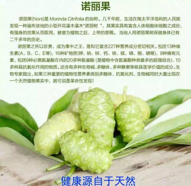 经过医学界将近10年的临床验证,人类食用诺丽果(noni),可以有效预防