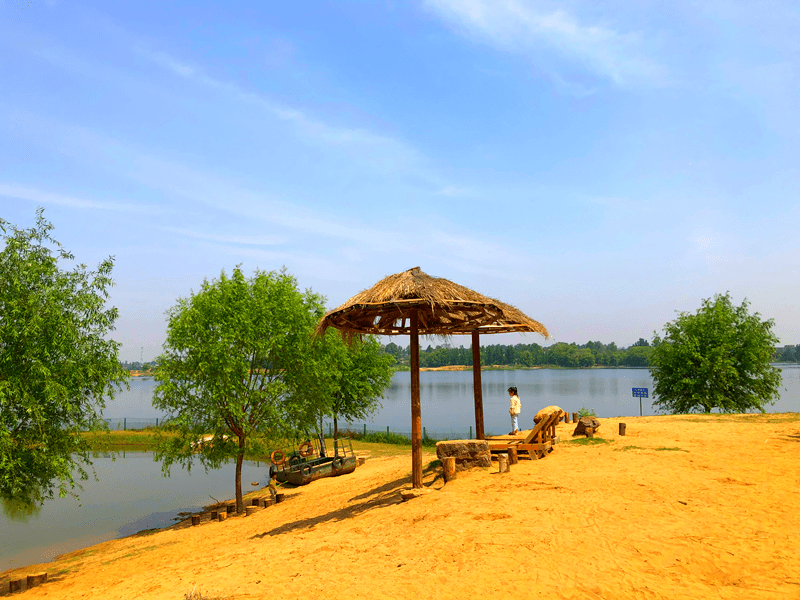 沙河畔,凉风习习,生态