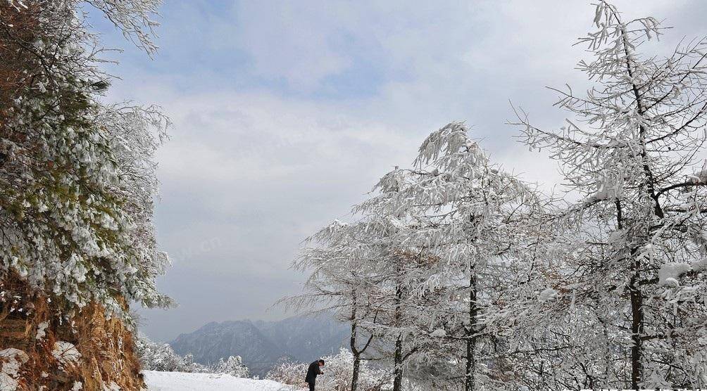 陕西最美的雪景,在秦岭之内,在终南山之巅,在你不远之