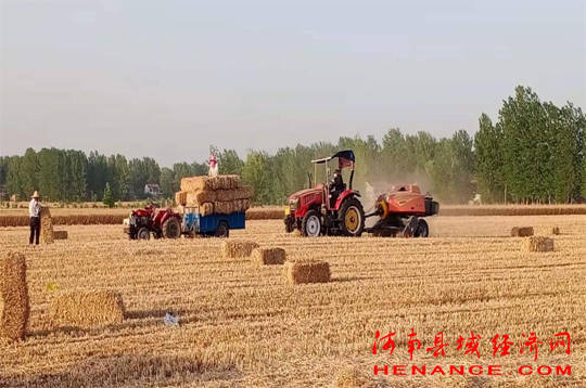 搂草机正在紧张作业,一捆捆成形的秸秆,被捡拾装车拉走,扎实提高了