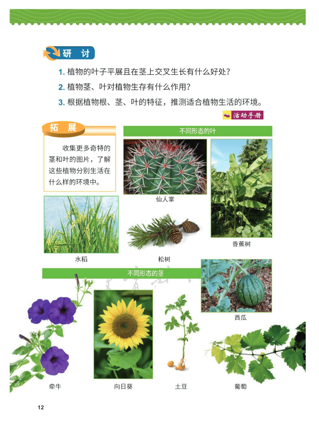 2021新版小学科学四年级下册教科版电子课本pdf高清版下载