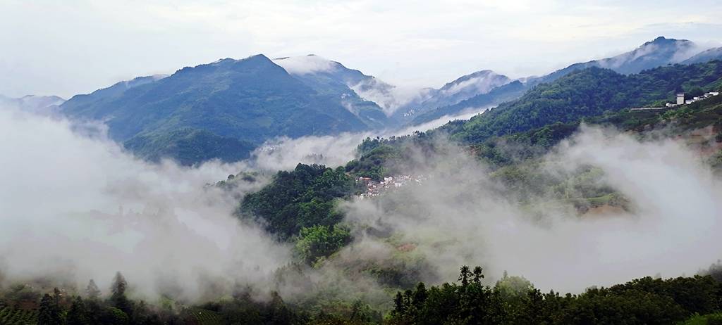 坡山村雨后云海,宛若仙境,歙县的后花园,当地避暑纳凉的好去处