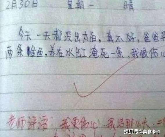 原创最搞笑的小学生作文,老师可是没那么好糊弄,网友:真是个怪才!