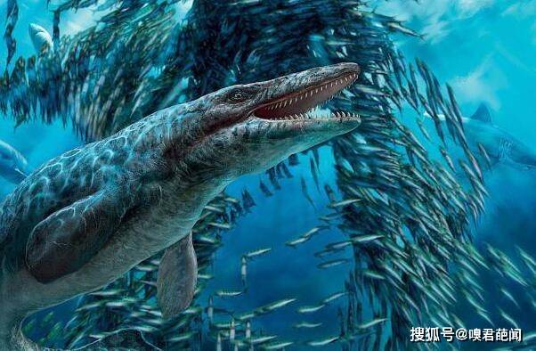 原创史前最大海洋生物:霍夫曼沧龙,长达17.3米重16吨