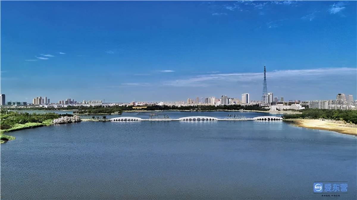不用长途跋涉东营这几个公园最适合纳凉撒欢