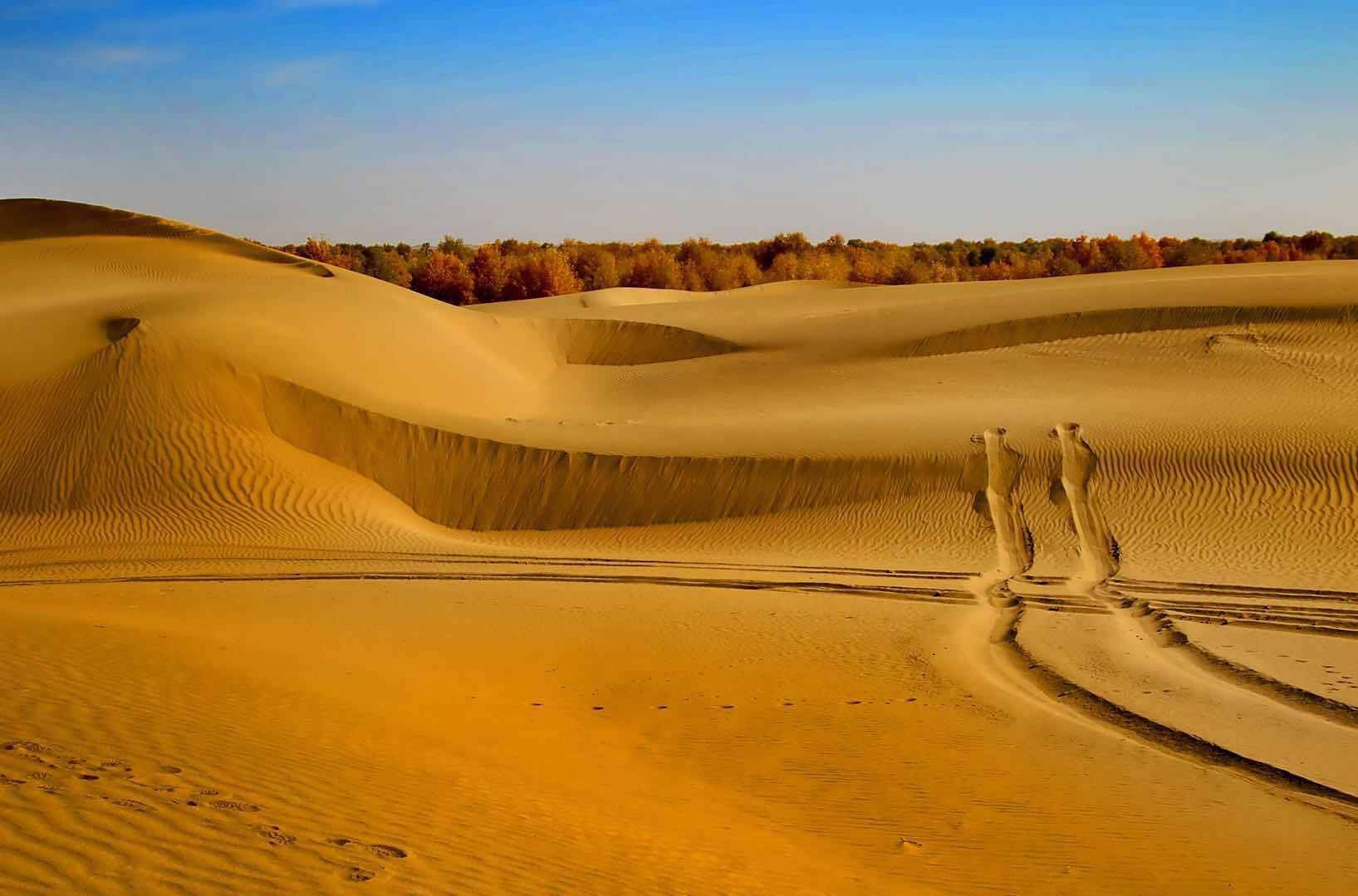 中国沙漠面积130万平方公里,都铺上太阳能板,够国人用