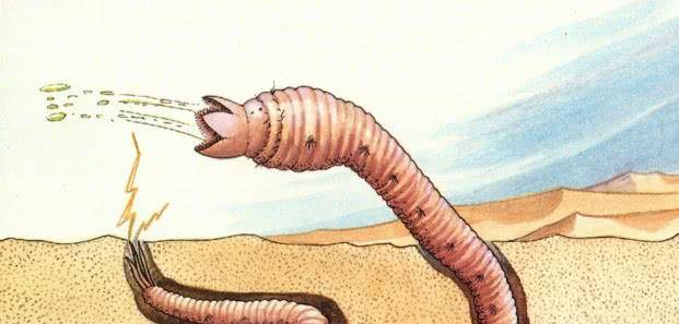 原创从生物学角度分析,蒙古死亡之虫是否真实存在?