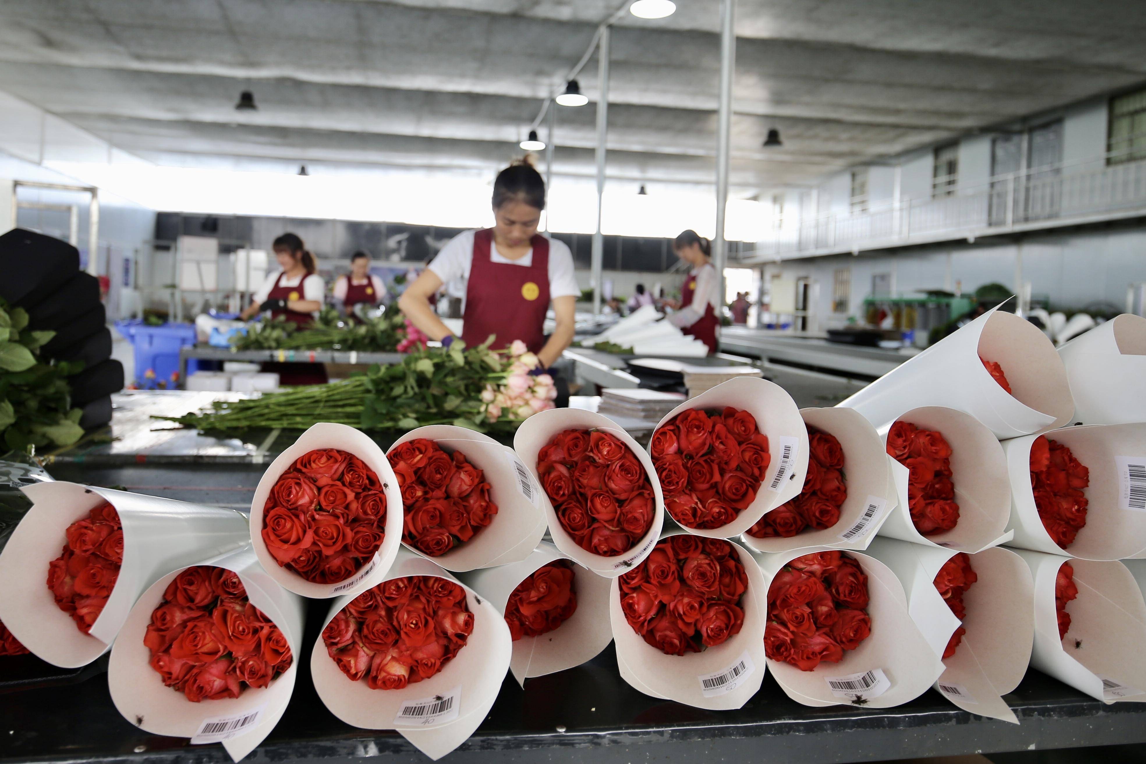 苏宁家乐福会员店供应链新动向 考察云南鲜花供应链布局基地直采