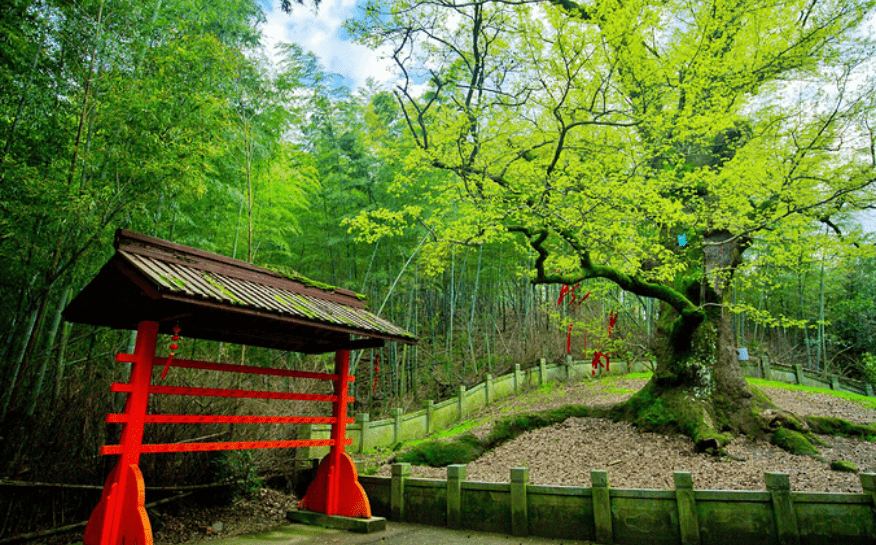 六月慈溪旅游必去景点,个人自驾游路线推荐不仅有美景