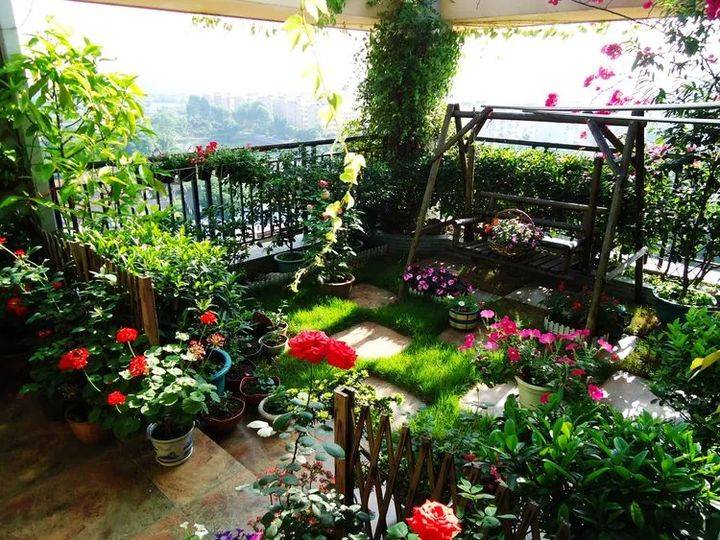 买房送了个40㎡露台打造成空中花园置身其中如梦如幻