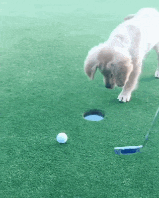 320_398竖版 竖屏gif 动态图 动图