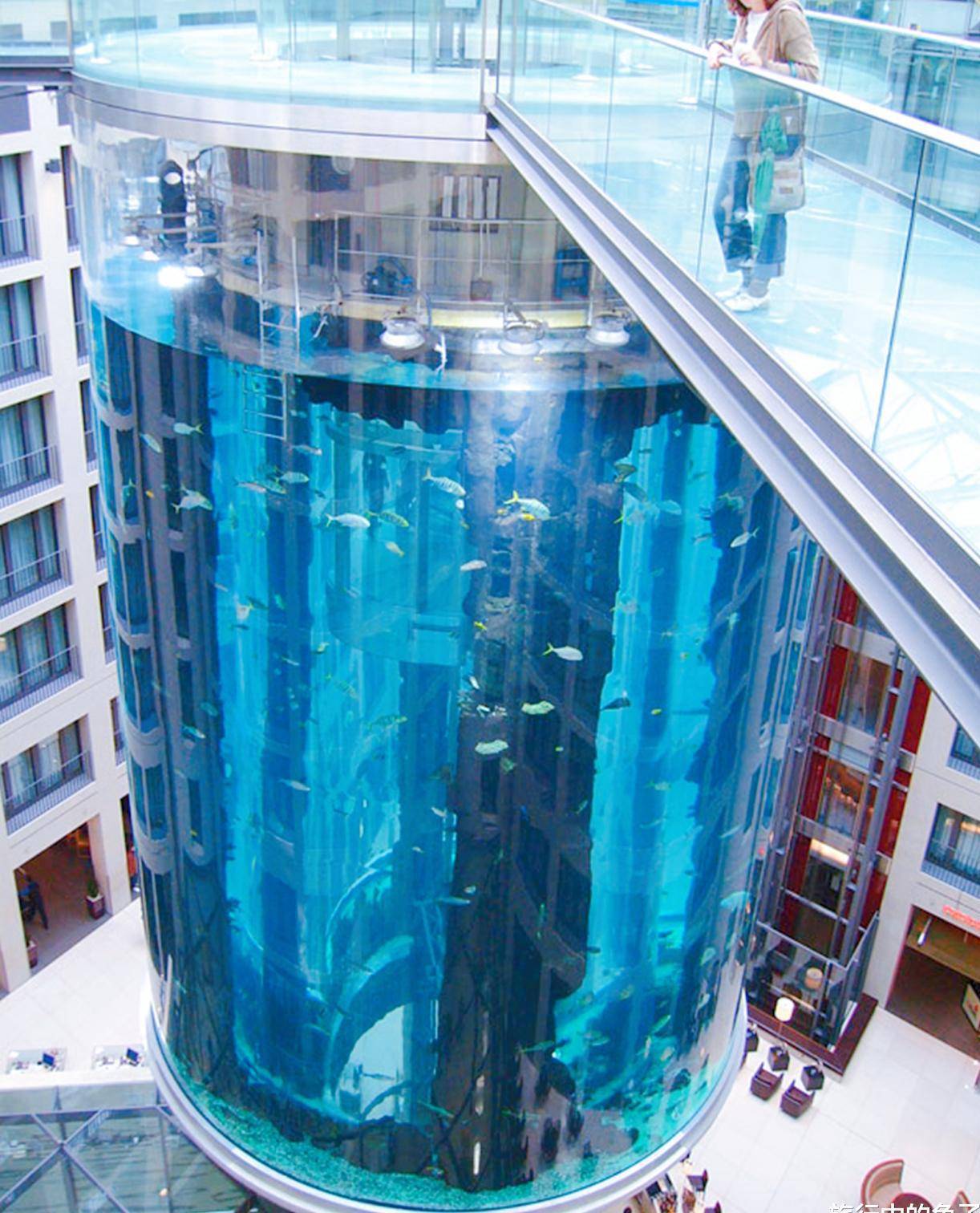 大款花9600万,在酒店里建了个"鱼缸",每年吸引几十万游客参观