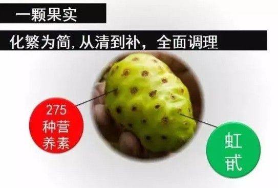 诺丽果的功效与作用是什么