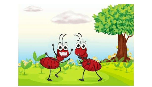 寻找小蚂蚁让孩子在游戏中提升注意力
