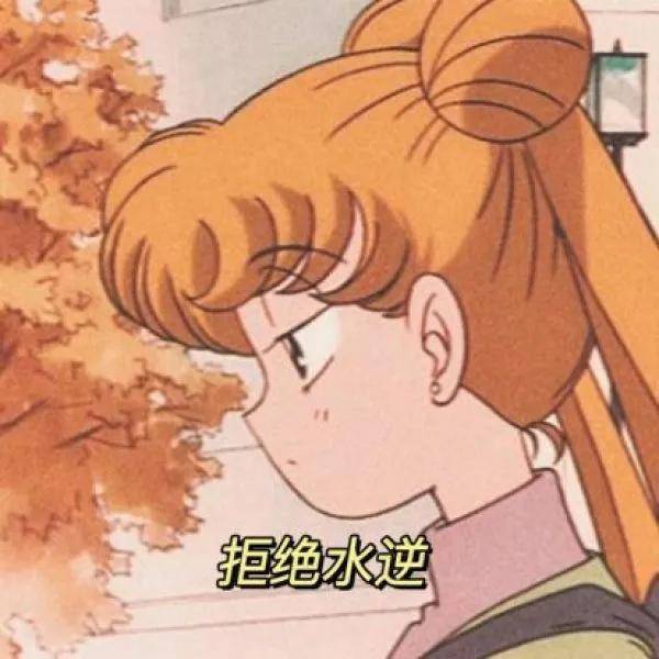 水冰月头像