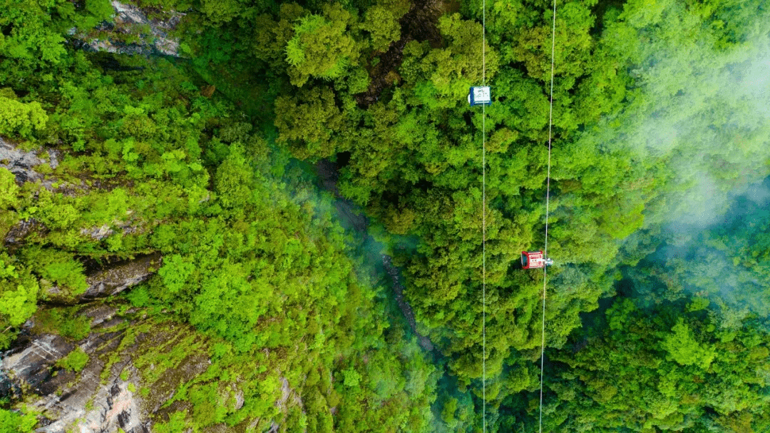 垂直高差1200米来王岗坪索道体验云端之旅