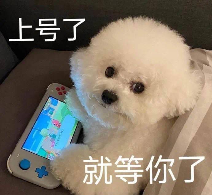 表情包可爱狗狗