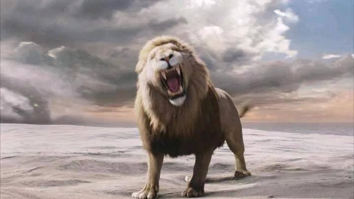 孤独,勇猛,狡猾,悲惨!世界上最著名的11大雄狮
