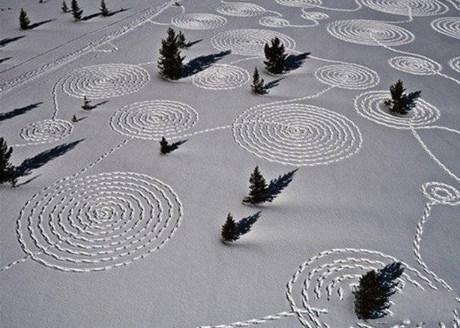 探索:雪地怪圈是怎么回事