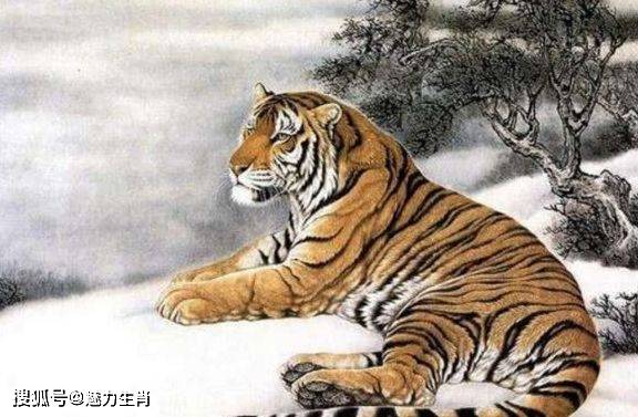 下半年贵人关照,4生肖霉运变好运,财运接连发,人生迈入上上签