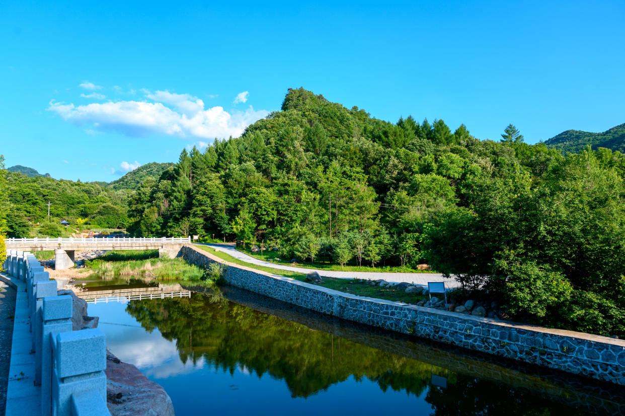 辽宁抚顺旅游必打卡景点,被誉为"北方温带雨林,夏日避暑佳地