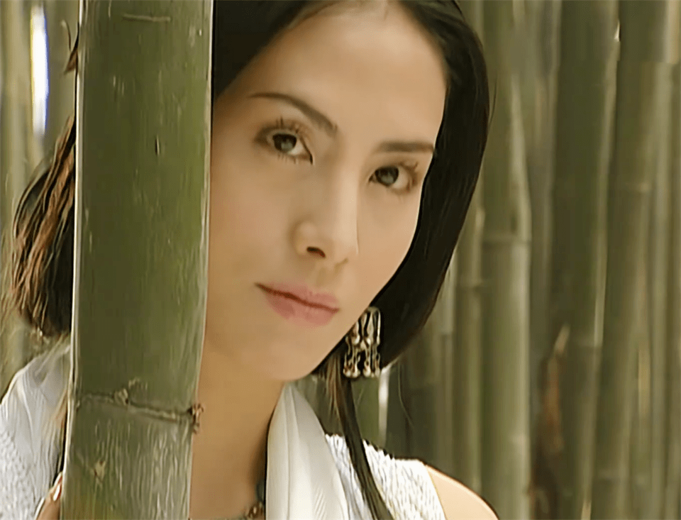 这个角色由35岁时的田丽出演,初登场时布衣造型掩盖不了真绝色.