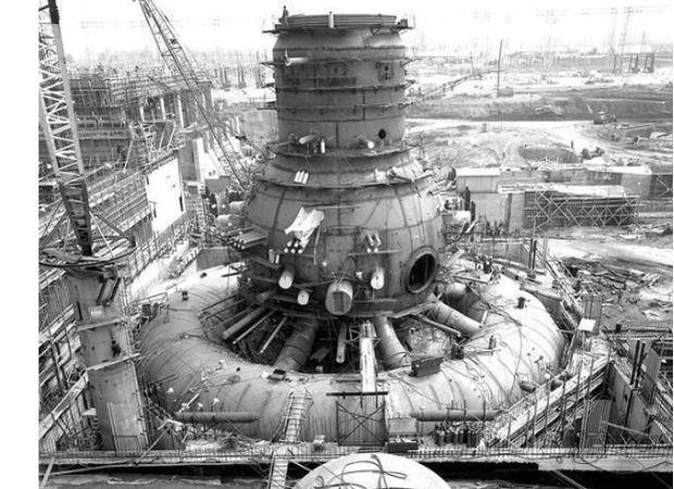 核泄漏有多恐怖看看切尔诺贝利核电站的动物就知道了