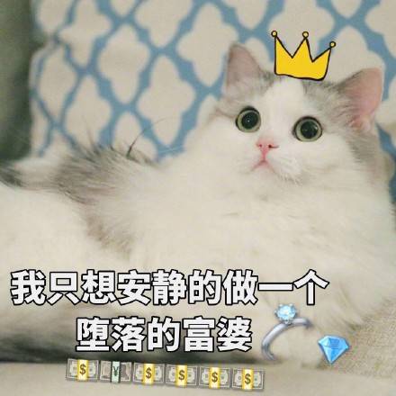 一组萌萌的小猫咪表情包