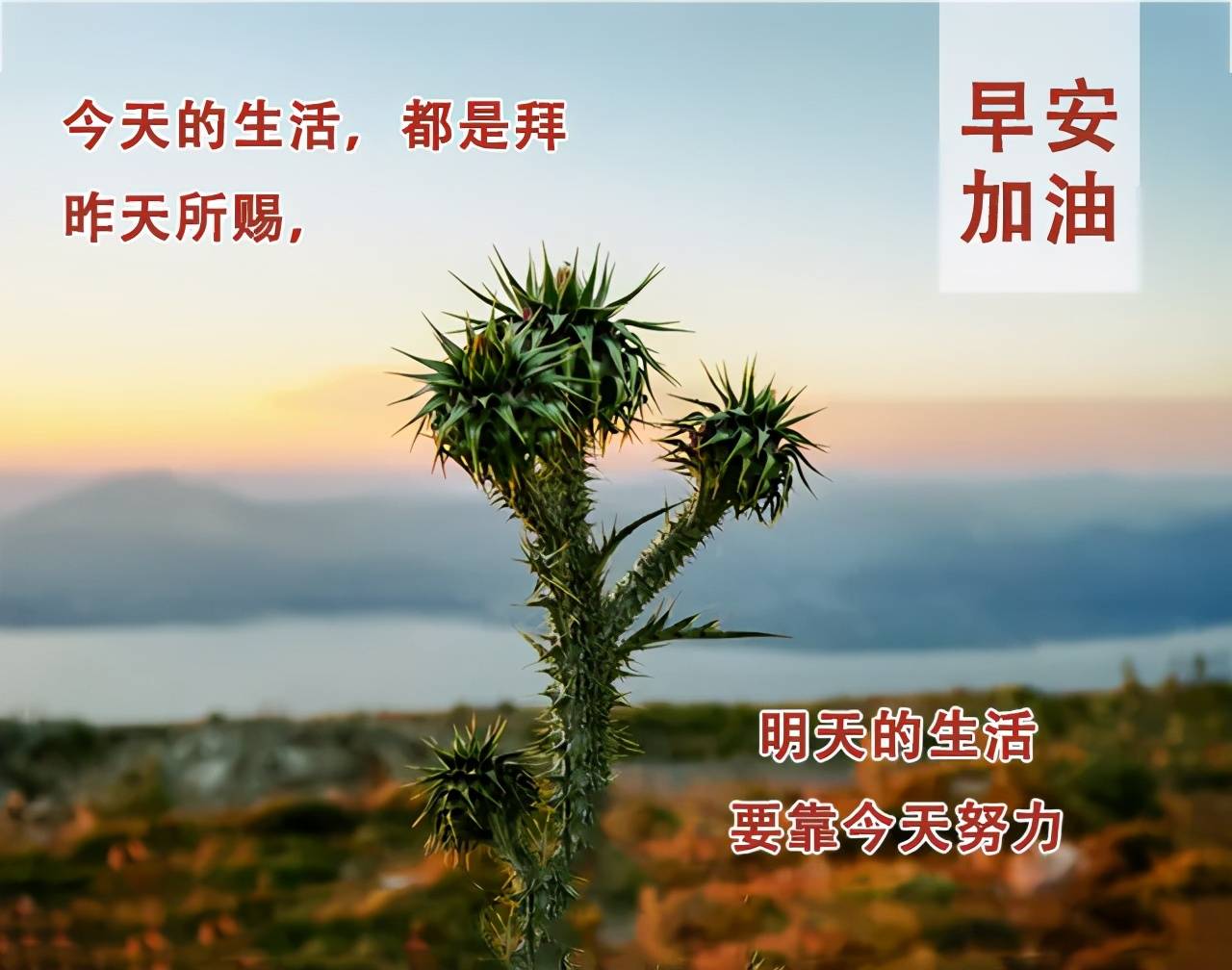 最新早安图片祝福语 天气炎热注意防暑表情包带字动图