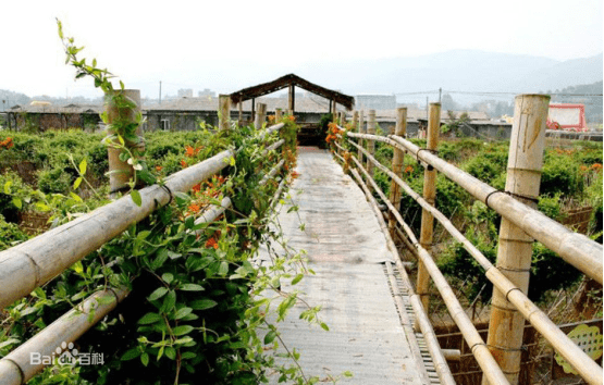 【周边景观:游南山;逛生态园;赏白沙文化艺术区;或是体验亲手采摘