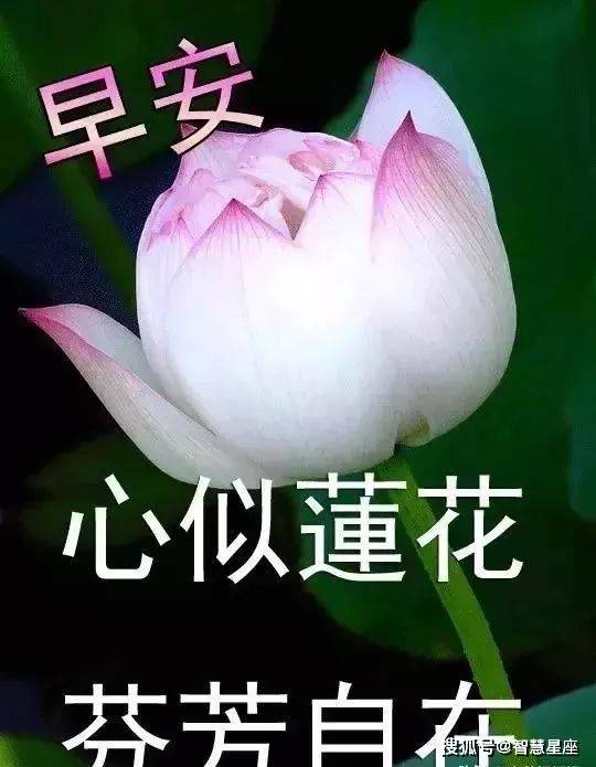 7月4日暖心早晨问候早上好动态美图,温馨幸福早安图片