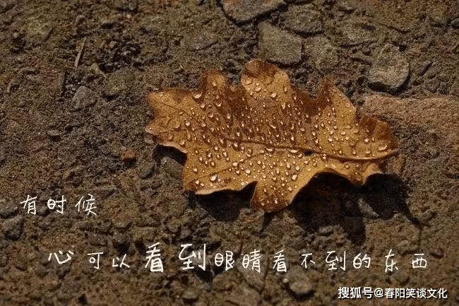 莫名心酸的悲伤句子,句句戳心,每一句都说到心坎上