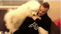 养宠物前,男朋友嘴里的