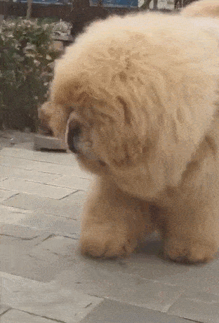 312_460 竖版 竖屏