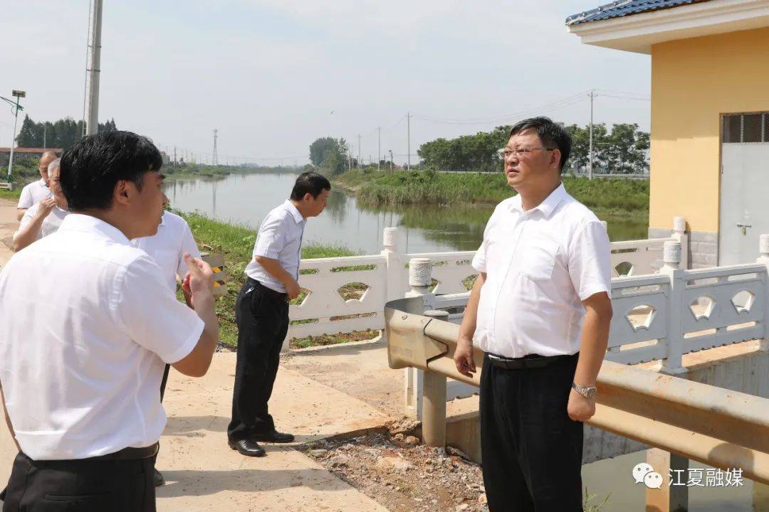 王清华调研江夏区防汛备汛及美丽乡村建设工作,提出这些要求