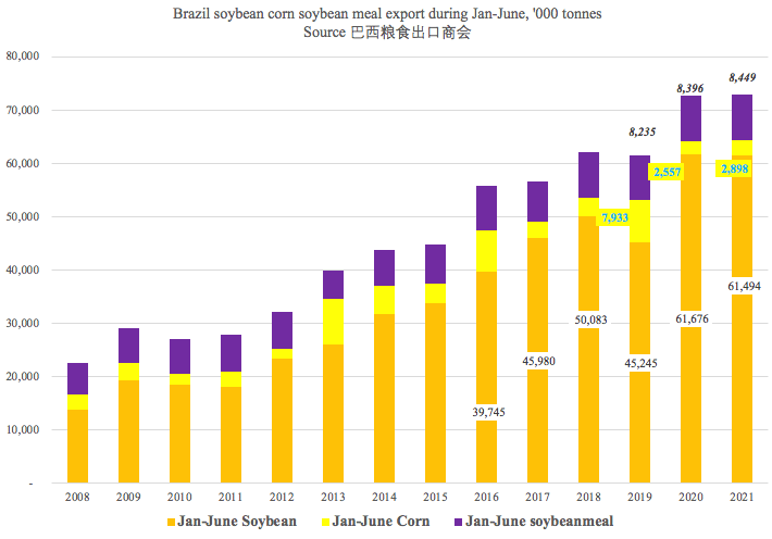 巴西上半年进出口暴涨!航运人关心的数据全在这里了_大豆