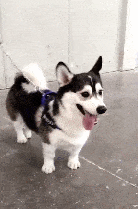 282_426 竖版 竖屏