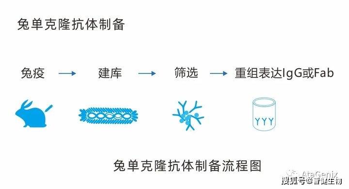 普健技术单克隆抗体制备及测序服务