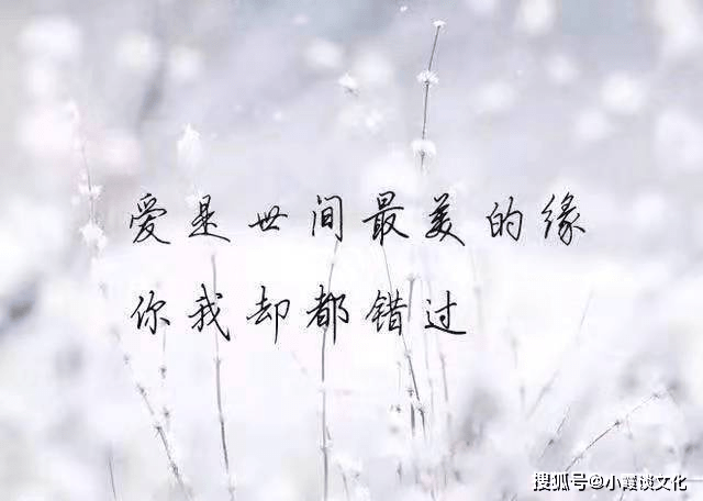 2021点赞率最高的伤感说说,太精辟了,每一句都说到心灵深处