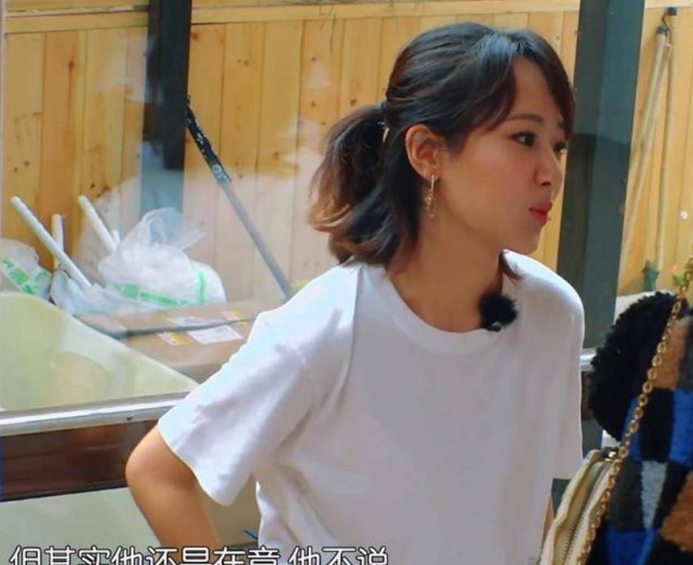 杨紫的坎坷情史,以及她"五花八门"的绯闻男友_贺鹏