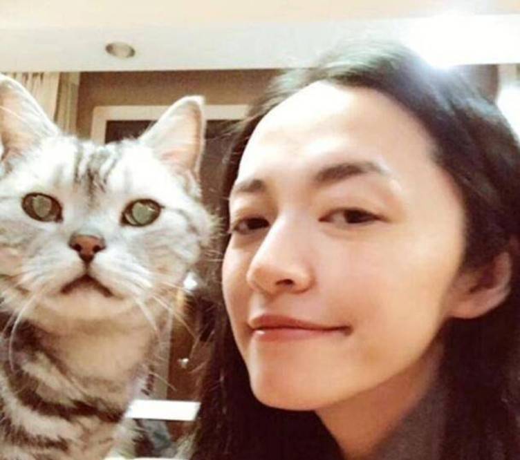 娱乐圈喜欢养猫的美女明星都有谁