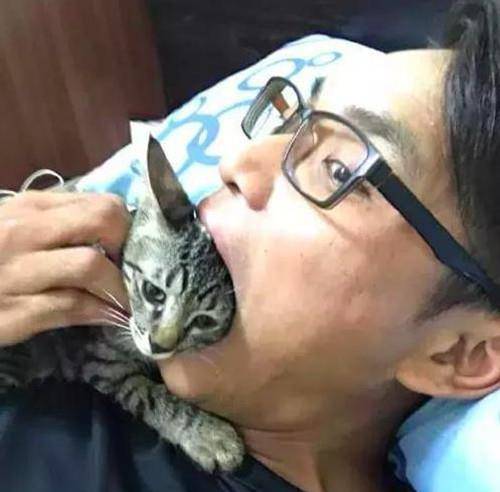 男子把猫头塞进嘴里,再从口中拿出来后感叹:它的眼神