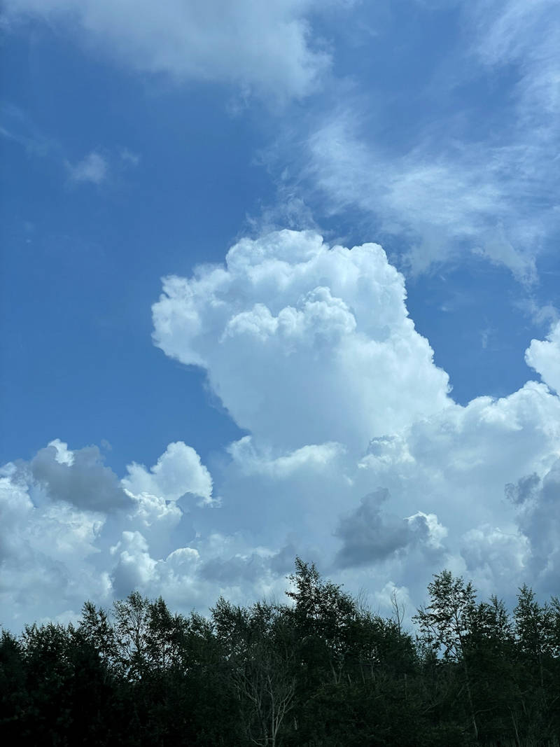 行驶不多久,就有几朵巨型白云从天际腾空而起.